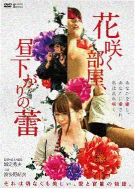 纸鸢与海 高清电影在线观看